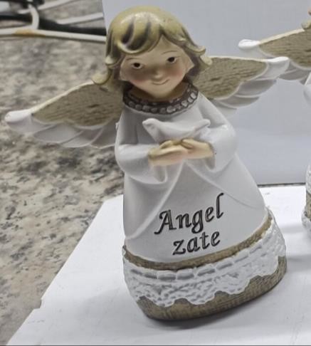 Angel-zivljenja/000989
