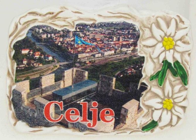 Celje/Z455