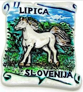 MAGNET SLOVENIJA         3831087834229