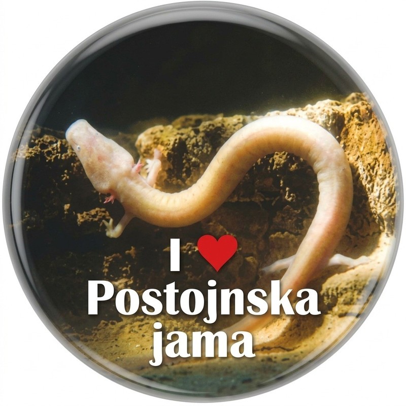 Postojna/P425_17