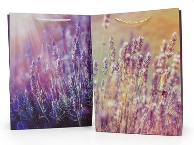 004734 PAPIRNATA VREČKA - MF25-497