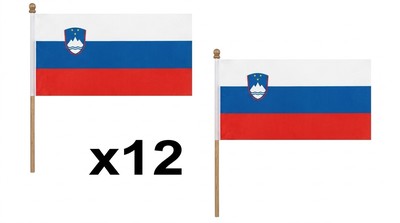 ZASTAVA 45*30 CM SLO     5053737026299